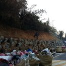 조선대학교병원 이미지