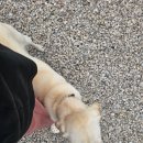 줄포만하