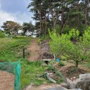 삼봉산_숲길(등산)1코스 이미지