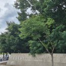동아대학교 학생회관 | [서울대학교 탐방 후기]서울대학교 박물관, 기념품샵 방문 후기