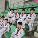 한울타리태권도장 이미지