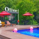 올리브펜션 이미지