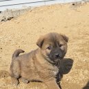 삼우카센타 이미지