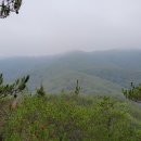 덕산정