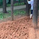 일원에코파크 네이버블로그