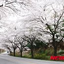 국도37호선(2) 뉴시스