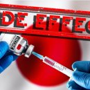 일본은 모든 백신 의무화를 중단하고 라벨에 심근염 경고를 표시합니다. 이미지