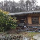 주읍리산수유꽃마을 이미지