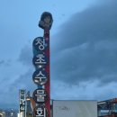 청초수물회.섭국 | 속초 현지인 맛집 속초 물회 맛집 청초수물회 섭국 내돈내산 후기