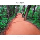 황토탕 이미지
