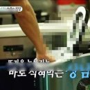 아이스스타 이미지