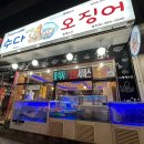수다떠는오징어형제수산