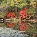 마당이수목원(느티나무동) 이미지