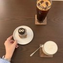 나오트커피