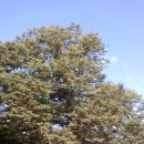 명신농장 이미지