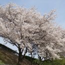 산호대로25길-7 이미지