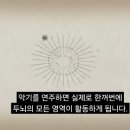 타임악기 네이버블로그