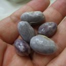 충무횟집 이미지