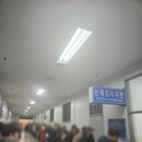 1급서부자동차 | 도봉운전면허시험장 방문 후기, 7년 무사고 충족해서 1종 보통 면허 발급