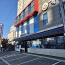 독도참가자미 이미지