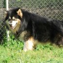 백야농장 이미지