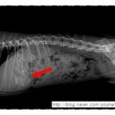 유앤동물병원 이미지