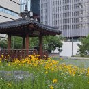 시화정 티스토리
