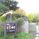 들꽃세상 이미지