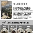 데스티니 퍼피 이미지