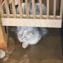 화신프라자 | 감자로운 미네하루 : 2026년 2월 (2탄 설과 연휴를 곁들인)