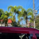 북부세탁소 | 치앙라이 숙소 후기 Baanmalai guest house (반말라이게스트하우스)