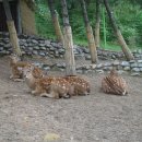 환호해맞이공원 이미지