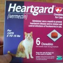 경일 동물병원 이미지