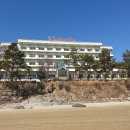 고흥 도화면 발포해수욕장(2025/2/21) 이미지