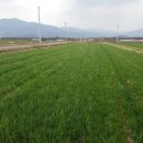 벌교사료 이미지