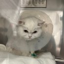 온 동물의료센터 이미지