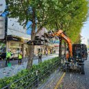 은행나무경로당 이미지