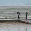 무안황토갯벌랜드B 이미지