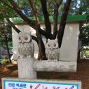 동부공원로 이미지