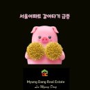 뉴서초부동산중개 이미지