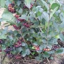 남원농장 이미지