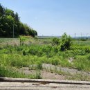 근성농장 이미지