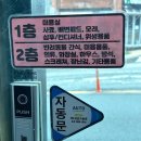 고든펫 | 부산 연산동 강아지 말티푸 미용 &#39;고든펫&#39; 솔직후기 (대형견, 노견, 입질견, 무마취 가능)