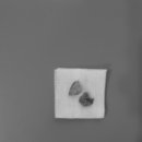 문정탑동물병원 이미지