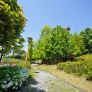 숲속어린이공원 이미지