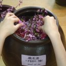 한국술문화연구소