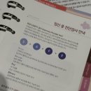 소사보건소 | 니프티 검사 비용 37만원, 반 값 할인 받은 후기