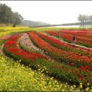 두모리포구 이미지