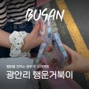 행운뽑기샵 | 부산 광안리 소품샵 프레젠띵 행운거북이 가격 금부기 색상 별 의미