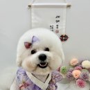 포프리티 이미지